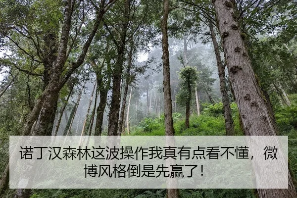 诺丁汉森林这波操作我真有点看不懂，微博风格倒是先赢了！