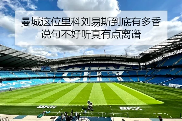 曼城这位里科刘易斯到底有多香 说句不好听真有点离谱